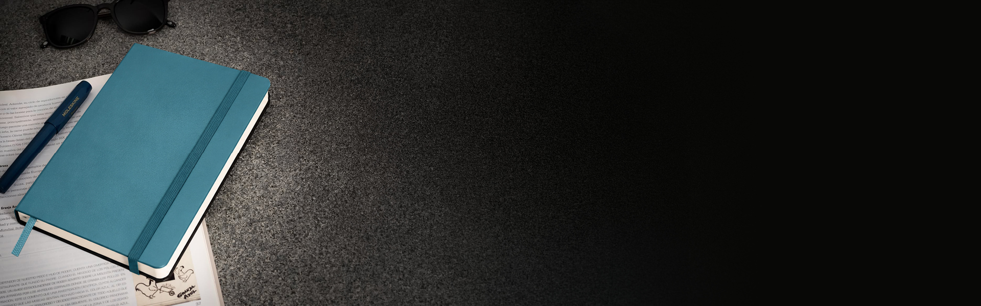 Banner-Moleskine-Oct
